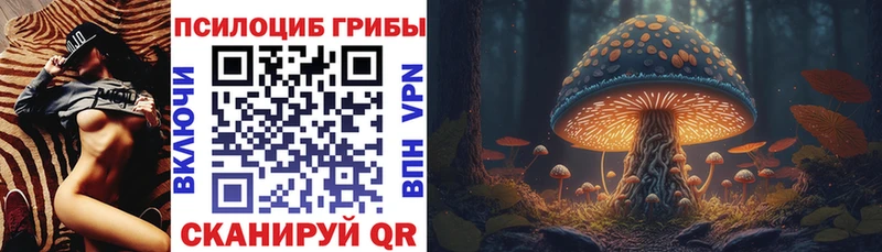 купить Дальнегорск Галлюциногенные грибы MAGIC MUSHROOMS